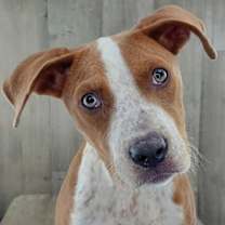 Thumbnail photo of Astrid #1