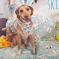 Thumbnail photo of Skinny #3