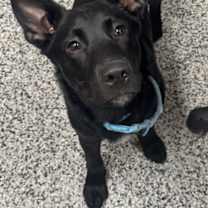 Thumbnail photo of Maverick #3