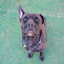 Thumbnail photo of Jodee #2