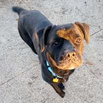 Thumbnail photo of Jodee #4