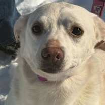 Thumbnail photo of Pluto #1