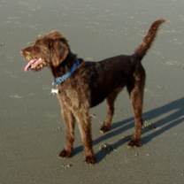 Thumbnail photo of Clash #2