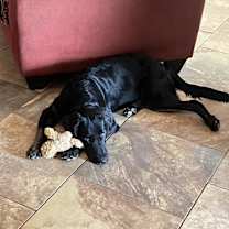 Thumbnail photo of Ruby #2