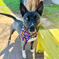 Thumbnail photo of Tina 25-11-100 #1