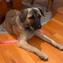 Thumbnail photo of Lola #2