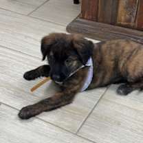 Thumbnail photo of Juneau #4