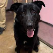 Thumbnail photo of Donnie Barko #1