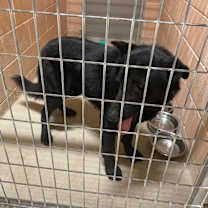 Thumbnail photo of Donnie Barko #2