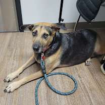 Thumbnail photo of Elle #3