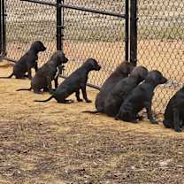 Thumbnail photo of Your Choice #1