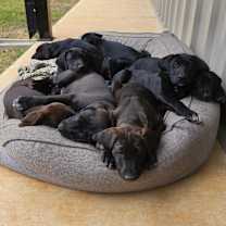 Thumbnail photo of Your Choice #2