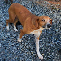 Thumbnail photo of Your Choice #4