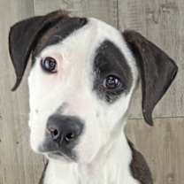 Thumbnail photo of Brady #1