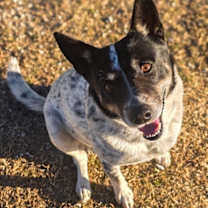 Thumbnail photo of Walter #1