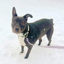 Thumbnail photo of Barry #1