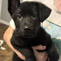 Thumbnail photo of Betty #1