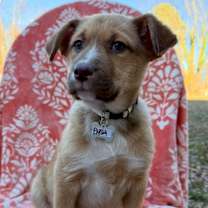 Thumbnail photo of Elysia #3