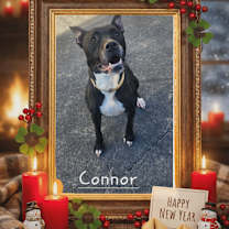 Thumbnail photo of Connor #4