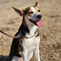 Thumbnail photo of Jolene #1