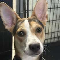 Thumbnail photo of Jolene #3