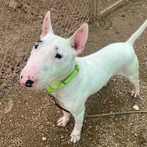 Thumbnail photo of Misto #2