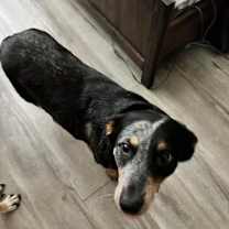 Thumbnail photo of Miss Jay #1