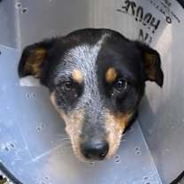 Thumbnail photo of Miss Jay #4