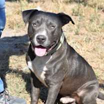 Thumbnail photo of Eli #1