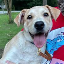 Thumbnail photo of Sammie #2