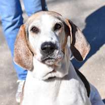 Thumbnail photo of Tucker #4