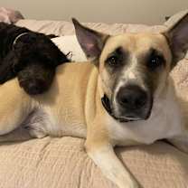 Thumbnail photo of Jack #4