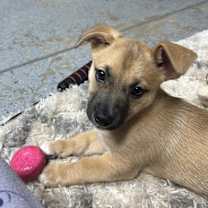 Thumbnail photo of Emily #2