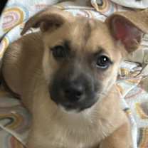 Thumbnail photo of Emily #4