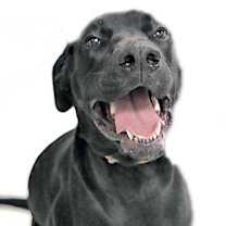 Thumbnail photo of Spirit #1