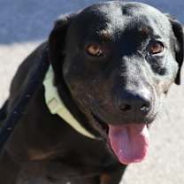 Thumbnail photo of Goshen #3