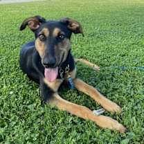 Thumbnail photo of Tami #1