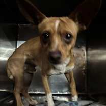 Thumbnail photo of streek #1