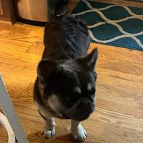 Thumbnail photo of Levi #3