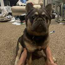 Thumbnail photo of Levi #4