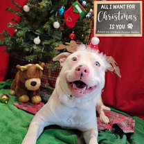 Thumbnail photo of Powder #2