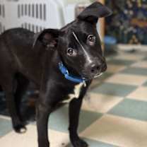 Thumbnail photo of Sprawl #1