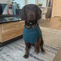 Thumbnail photo of Bruno #1