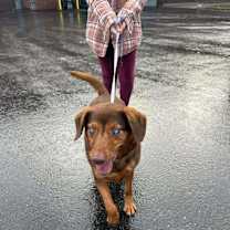 Thumbnail photo of Hobbs bonded with son Honda #2