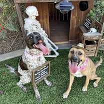 Thumbnail photo of Winslow #1