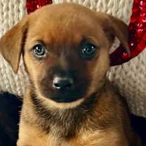 Thumbnail photo of George #3