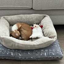 Thumbnail photo of Autumn 11096 #4