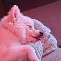 Thumbnail photo of Ghost #3