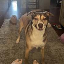 Thumbnail photo of London #3