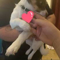 Thumbnail photo of Libby #2